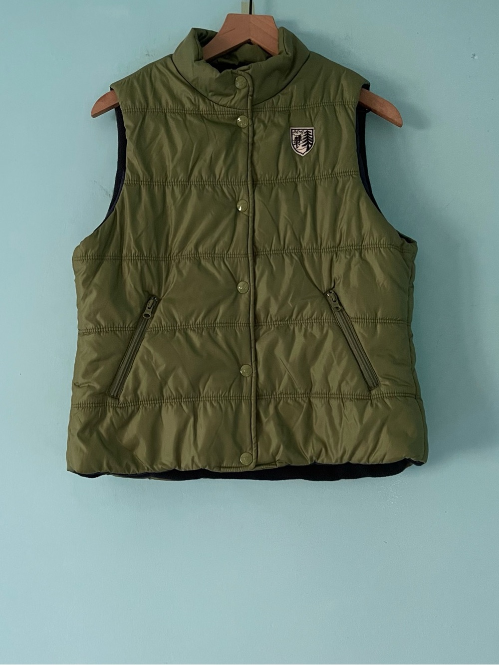 American Eagle Green Quilted Insulated Snap Up Jacket Vest L Fleece Lined